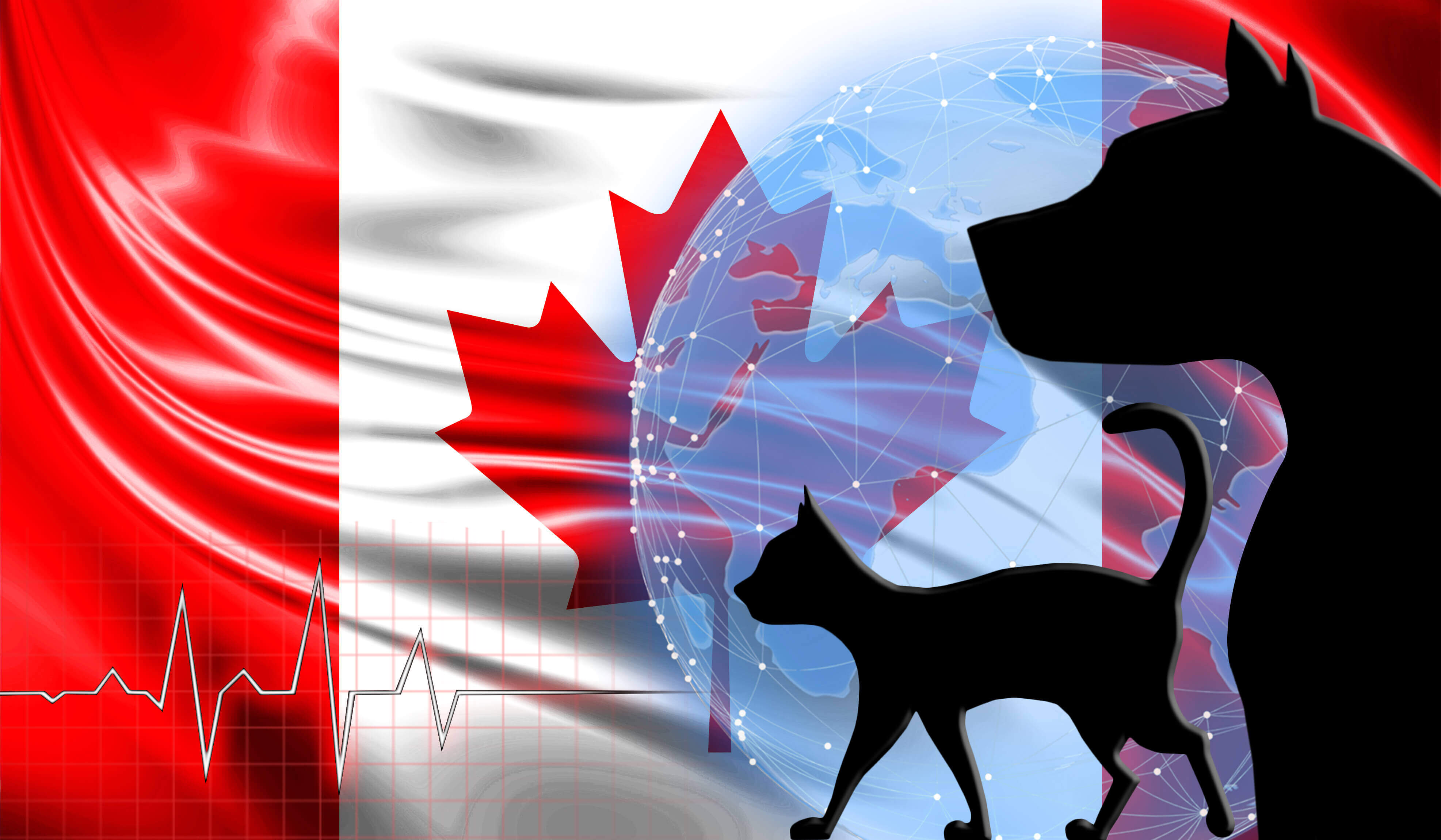 Earn Up to $126, 300 When You Immigrate to Canada As a Vet Earn Up to $126, 300 When You Immigrate to Canada As a Vet