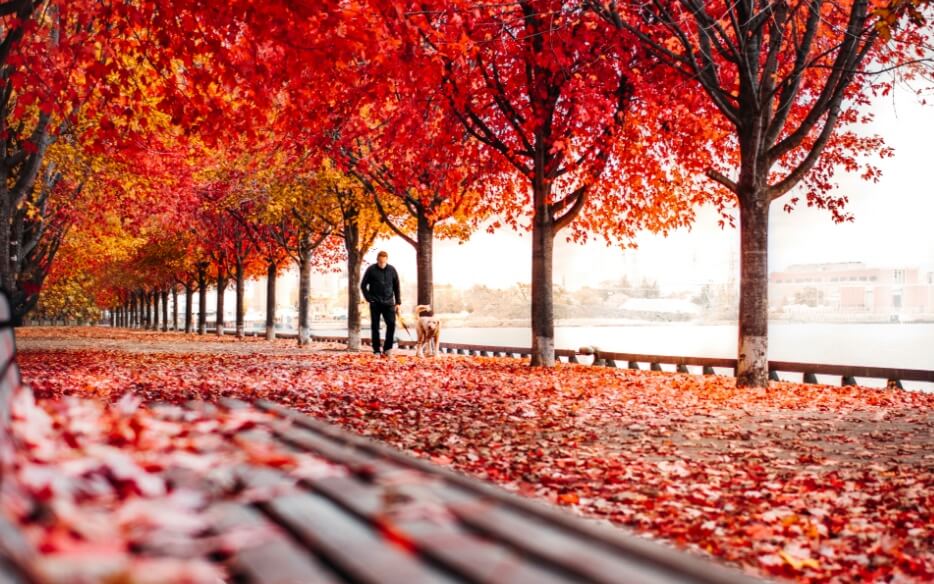 7 Ways to Become a Permanent Resident of Canada 7 Ways to Become a Permanent Resident of Canada