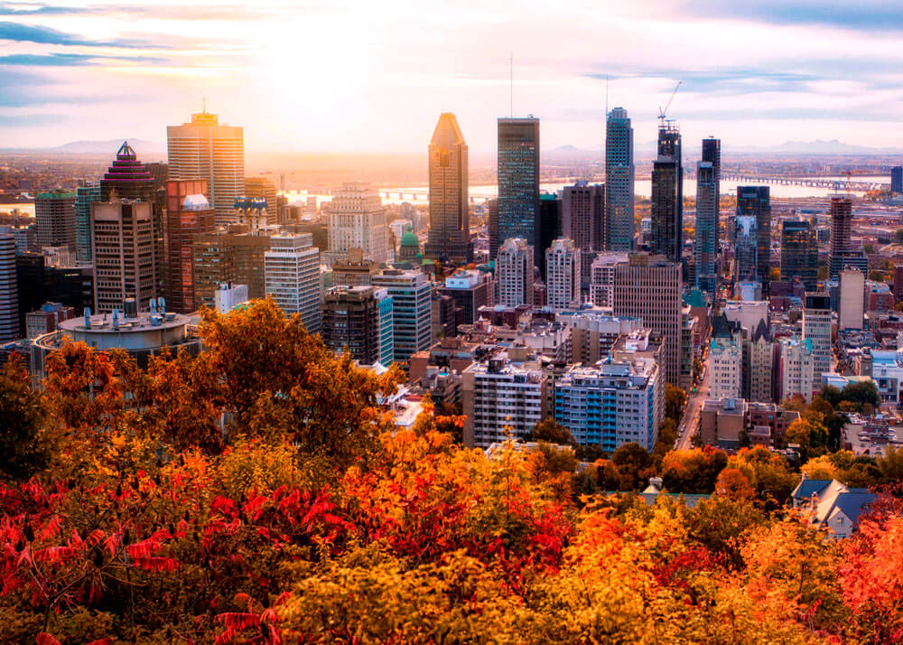 Can I Immigrate to Canada Without a Job Offer? Can I Immigrate to Canada Without a Job Offer?