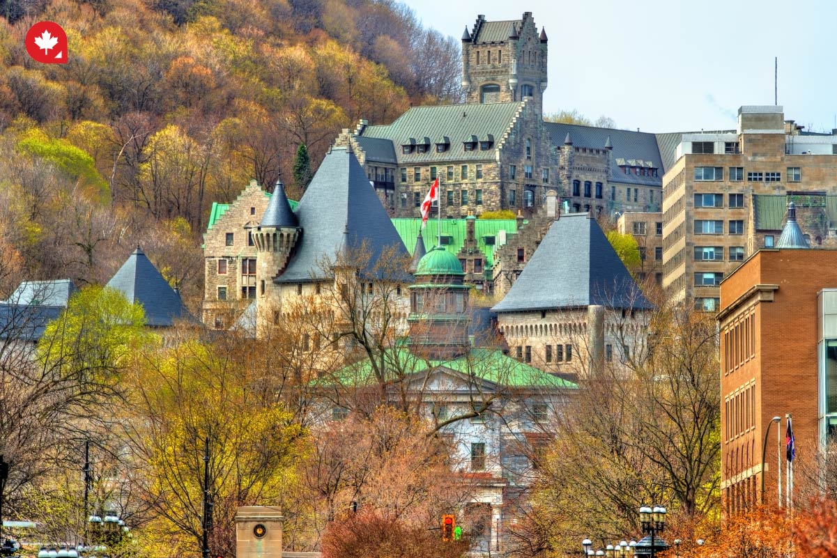 How to Apply to McGill