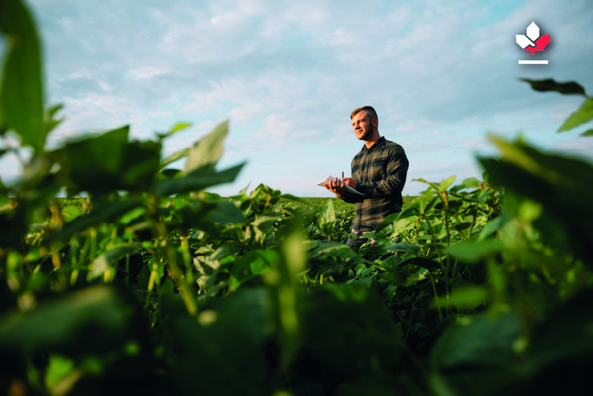 Grow a Bright Future in Canada’s Farmlands