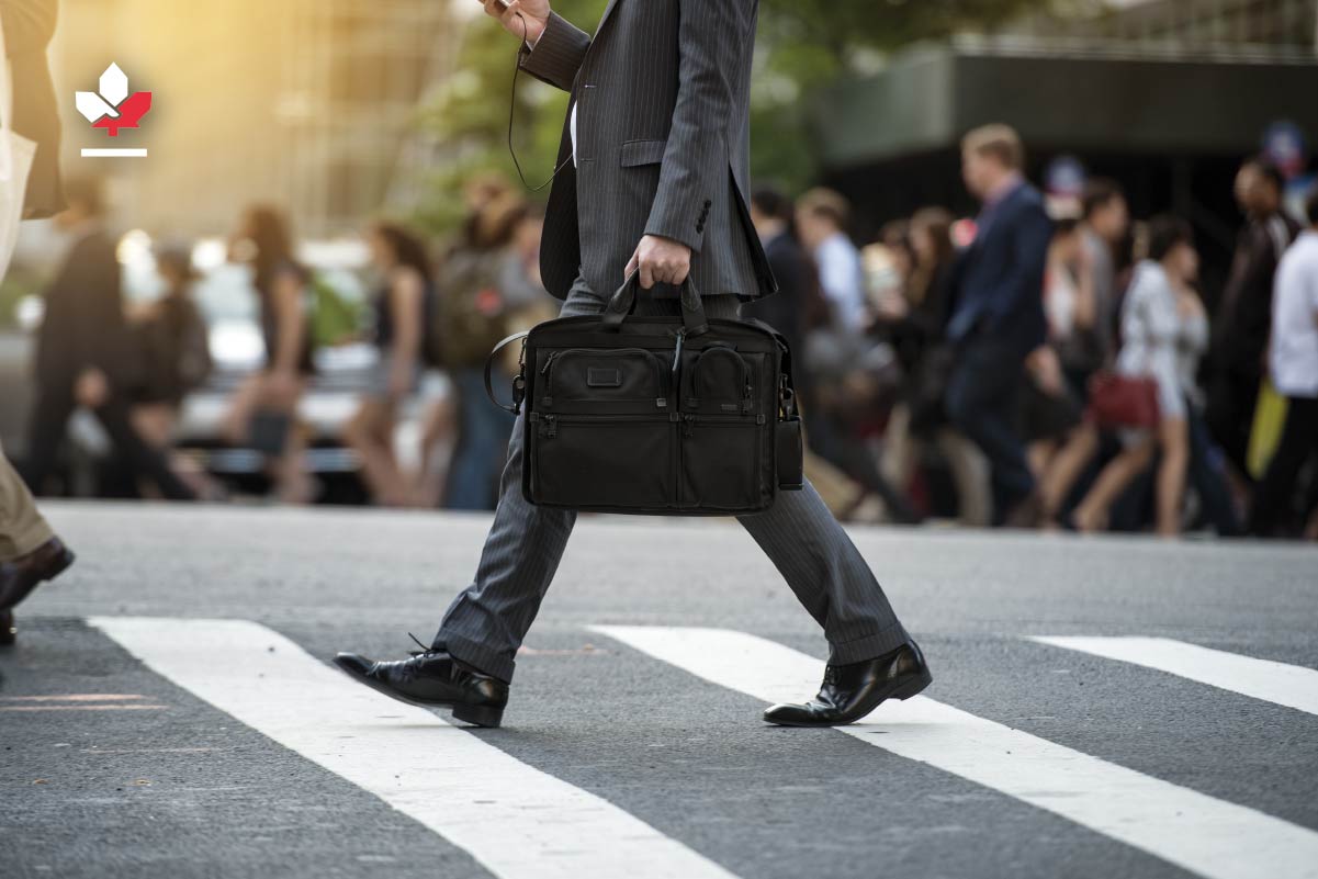 What is the International Mobility Program?